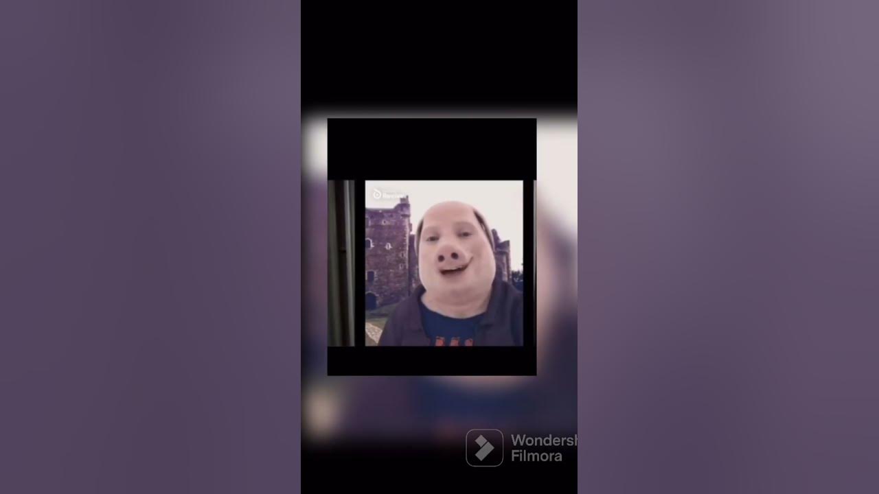 SO WAKE ME UP JOHN PORK johnpork funny viral YouTube