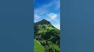 سورة الرحمن-الشيخ علي جابر رحمه الله