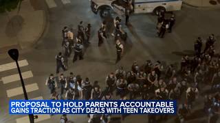 Alders seek to curb teen takeovers with parent accountability after 3 shot near Hyde Park gathering