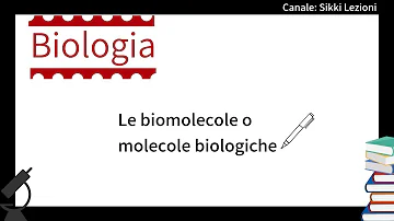 Come avviene la reazione di idrolisi?