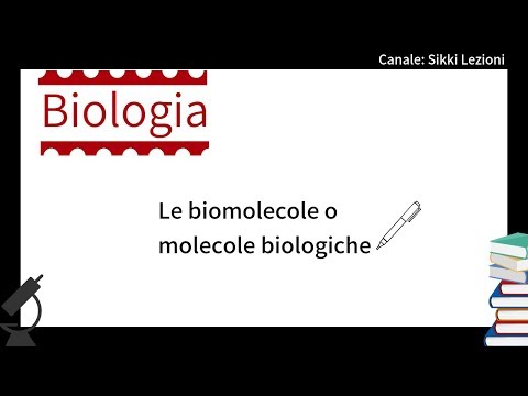 Video: Differenza Tra Idrolisi E Sintesi Di Disidratazione