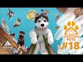 Let's Play HouseFlipperPets S01F18 - Was nicht passt, wird klappbar gemacht