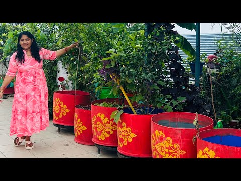 😱💙Complete guide to making beautiful planters from blue drums! 🌿 All about blue drums 😅