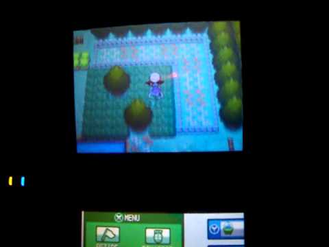 Hoe vindt u Chansey In Hg / Ss (100% kans !!!!)