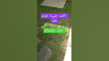 تلاوة تهز النفوس وتقشعر لها الابدان/تابع وانشر تؤجر