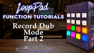 Details Record Dub Mode Part 2  |  LoopPad How To Update
