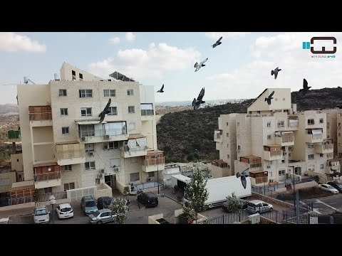 צילומי רחפן סוכות 2020 במודיעין עילית וחשמונאים - Modi'in Illit Israel