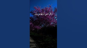 ق #قران كريم #اكسبلور #المصحف #الرحمن #لايك