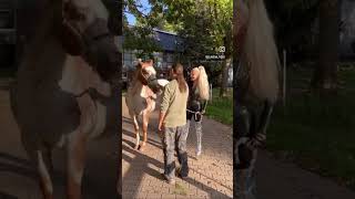 Horse Riding Catsuit Boots Highheels