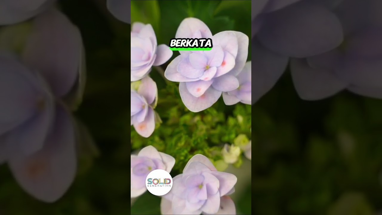 Solid Reflection Ep. 454 Dipegang bukan Dilepas 