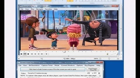 Screen Grab Pro Deluxe -  Getting Started  - FREE Screen Capture Tool