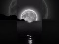 LET ME DOWN SLOWLY x  MAIN DHOONDNE KO ZAMAANE MEIN #popular #trending #viral #edit #lyrics