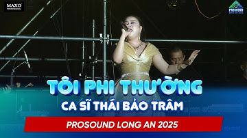 [Line array X210LA] Ca Sĩ Thái Bảo Trâm Trình Diễn Tôi Phi Thường Tại PROSOUND Long An 2025