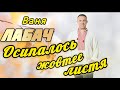 ОСИПАЛОСЬ ЖОВТЕЄ ЛИСТЯ ВАНЯ ЛАБАЧ Vanja Labach