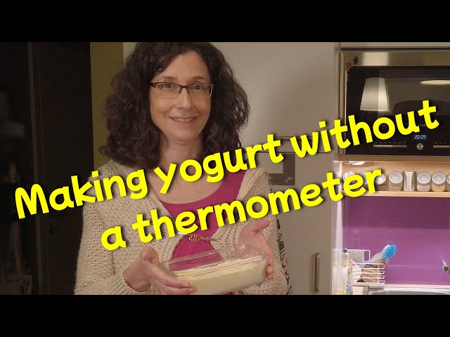 How to Make Your Own Yogurt (without a thermometer) 
