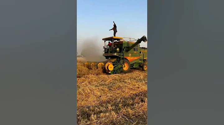 Jassi #combineharvester #combine #harvester #harvestermachine #combinemachine #harvesterwala - DayDayNews