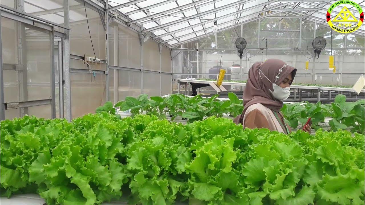 Jasa Ahli Konstruksi Green House Baja Ringan Berpengalaman Jasa Ahli Konstruksi Green House Baja Ringan Berpengalaman