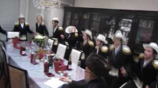 Video thumbnail of "Purim 5774-2014 Montreal: Collecting money with dance groups house to house"