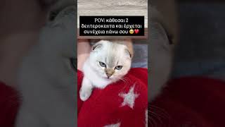 Κάθεσαι 2 δευτερόλεπτα και έρχεται συνέχεια πάνω σου 🥹❤️