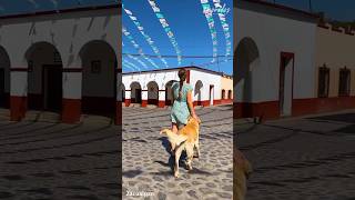 🇲🇽 Conoce el hermoso e histórico pueblo de Zacualpan, #Morelos 😍💚 #historia #pueblo #Mexico