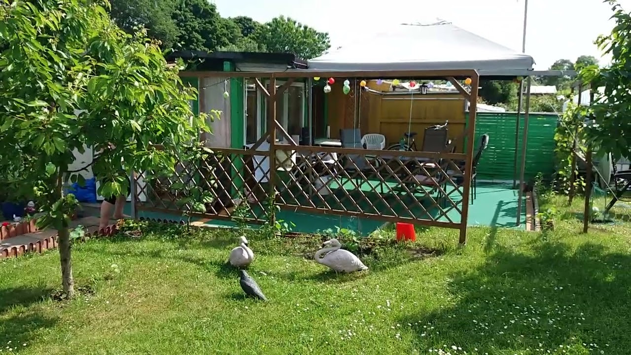 13 февраля 2026 г.