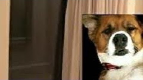 Dodger on "CHRIS EVANS" and "SCOTT EVANS" scary battles