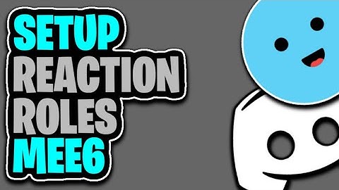 How To Set Up MEE6 Reaction Roles Discord Bot (EASY METHOD 2020)