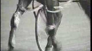 USTA Presents The Difference Between a Trotter and Pacer