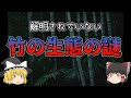 【ゆっくり解説】謎に包まれた『竹』の生態