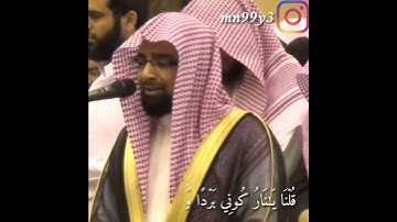 تلاوة خاشعة الشيخ ناصر القطامي حالة واتس اب دينية