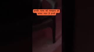 प्यार की भाषा #animallovers #lovepets