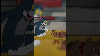 Tom is champion in tic tac toe #shorts #funny #tomandjerry screenshot 2