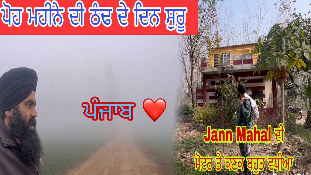 ਅੱਜ ਸਵੇਰ ਦਾ ਨਜਾਰਾ ਵੇਖਣ ਵਾਲਾ✅ਜਸਵੀਰ ਬਾਈ ਦੀ ਕਣਕ ਪਰ ਕਰਨੀ ਸਪਰੇ‼️ਜ਼ਸਨ ਦੀਆਂ ਮੋਜਾ🙏