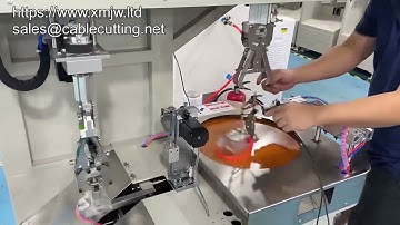 Automatic 8 Shape Wire Winding And Tying Machine For Thick Wires