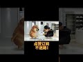 出现了 神秘商贩 Cheems小劇場 搞笑 Funnyvideo Cheems 零元购 出现了 神秘商贩 Cheems小劇場 搞笑 Funnyvideo Cheems 零元购