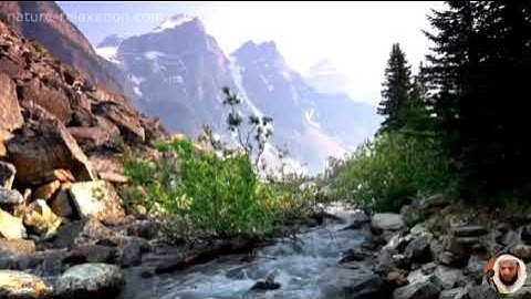 الشيخ محمد صديق المنشاوي في تلاوه نادره لما تيسر من سوره البقره