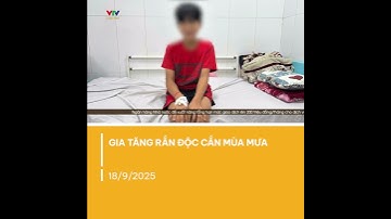 Nguy hiểm rình rập từ rắn độc mùa mưa | VTV CẦN THƠ