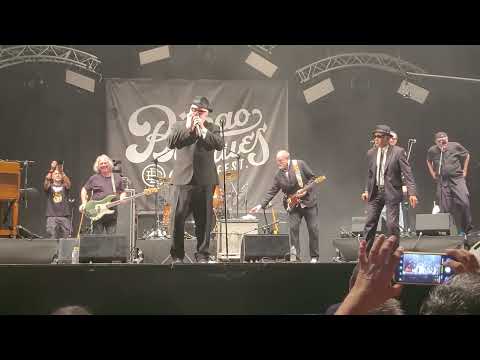 The Original Blues