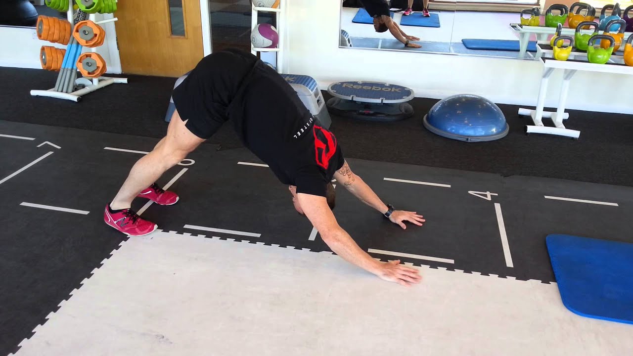 BW Down Dog to Mountain Climber with Yoga Plex YouTube