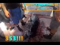 PACIFICA SPORTFISHING SAN DIEGO CA 353 LB BLUEFIN TUNA 8/24/2020