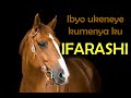 Ibyo wamenya ku IFARASHI / IFARASI