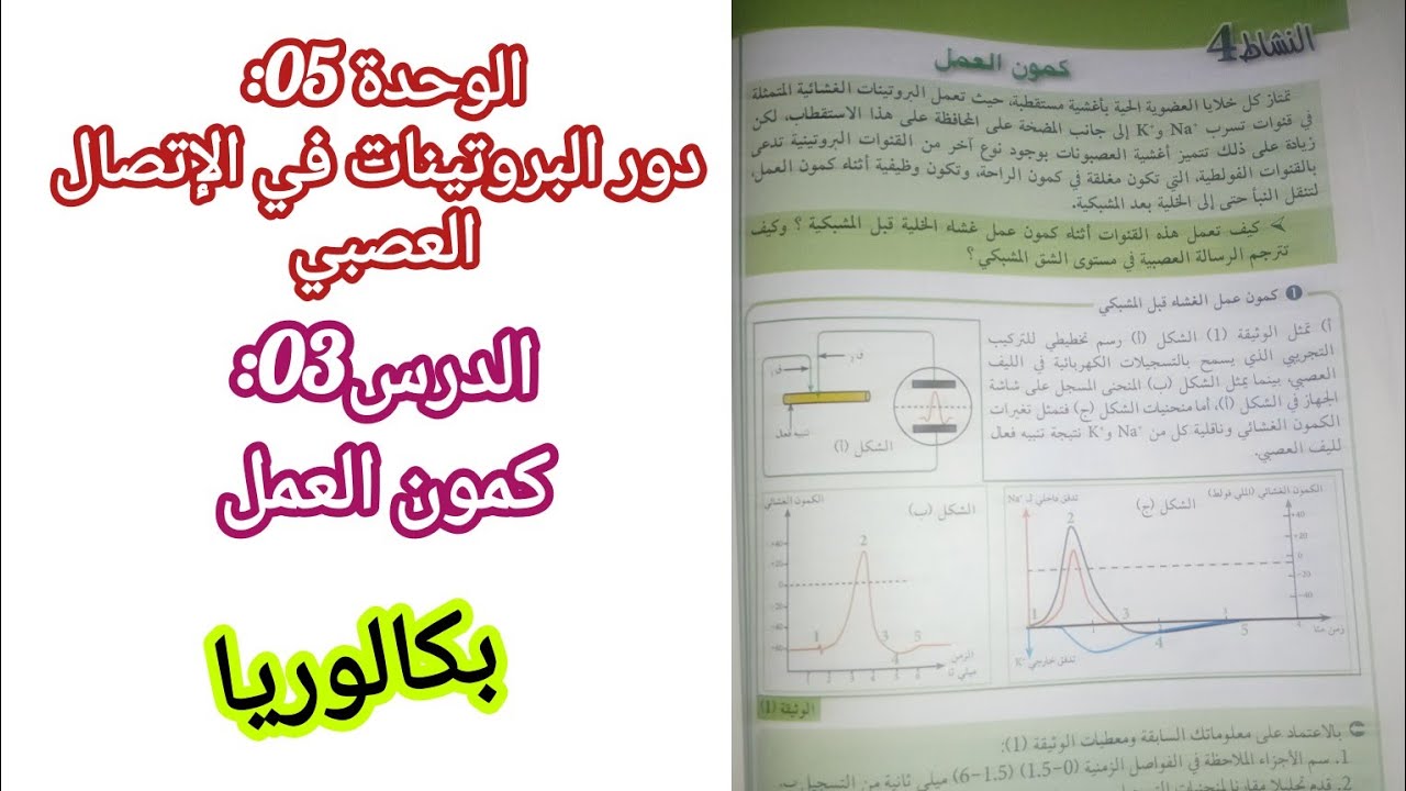 الوحدة05:الإتصال العصبي/الدرس03: كمون العمل|| بكالوريا