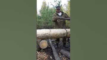 A log cabin built by one man moving heavy logs 27 #shorts