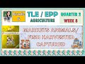 Agriculture and Marketing Quiz