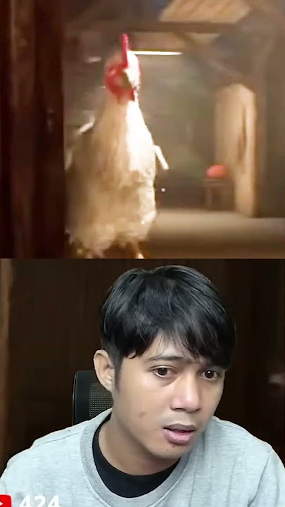 DIKEJAR AYAM