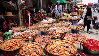 Cambodian Dry Fish Market Tours - Daily Lifestyle &amp; Activities of Vendors Selling Dry Fish @Kilo 9