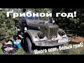 Дедушкин ГАЗ-69. Грязь, лес и опята. Грибное место!