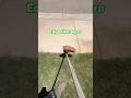 How to Edge Like a Pro with a String Trimmer
