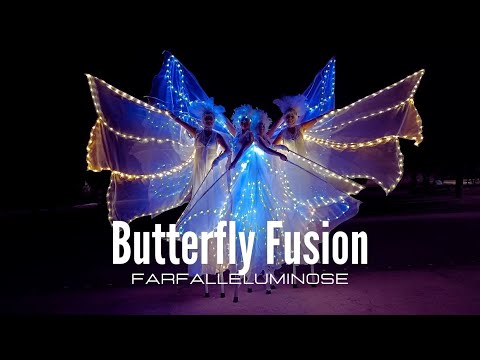 Butterflies Fusion - Farfalle luminose - Artisti di strada Puglia