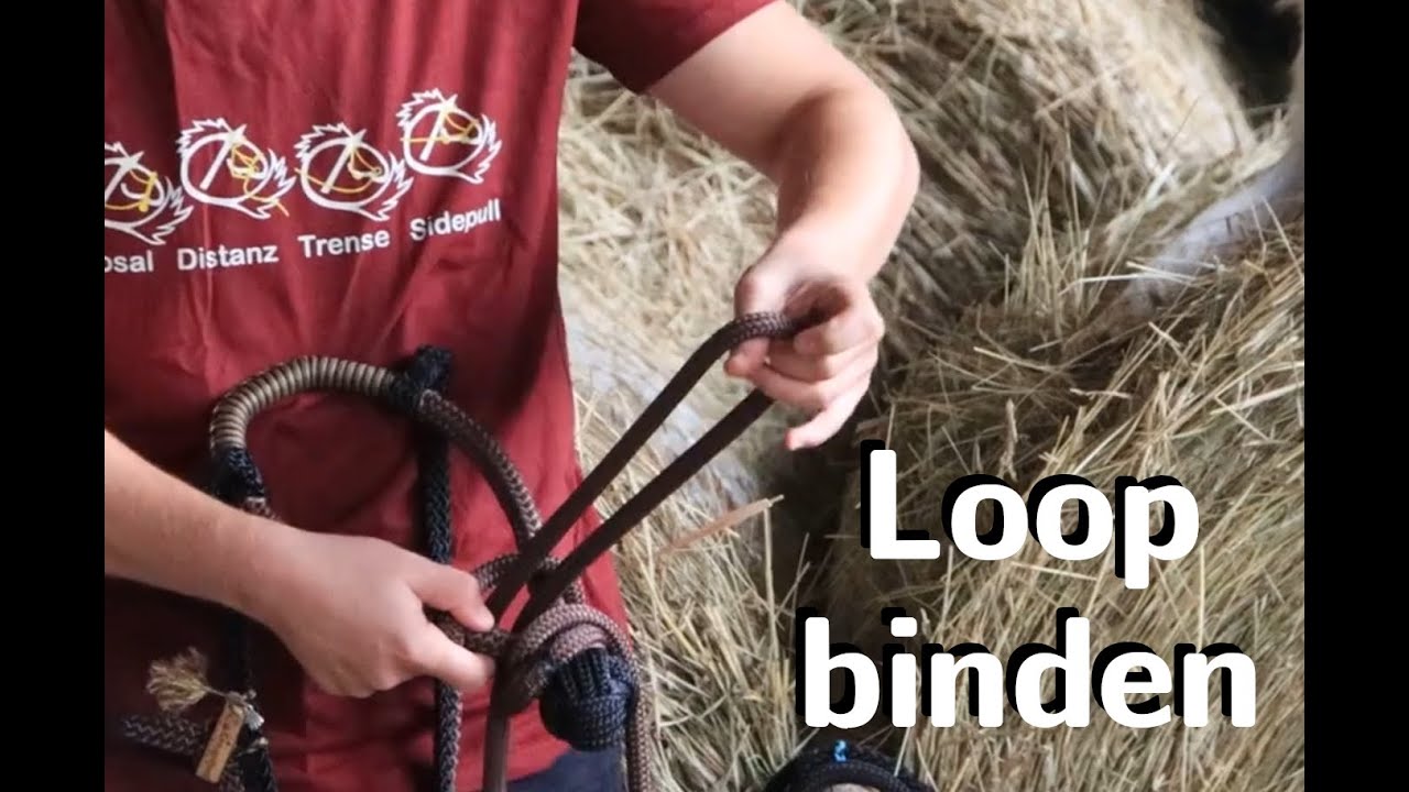 Creapferd - Loop binden (modifiziertes Roping Rein)